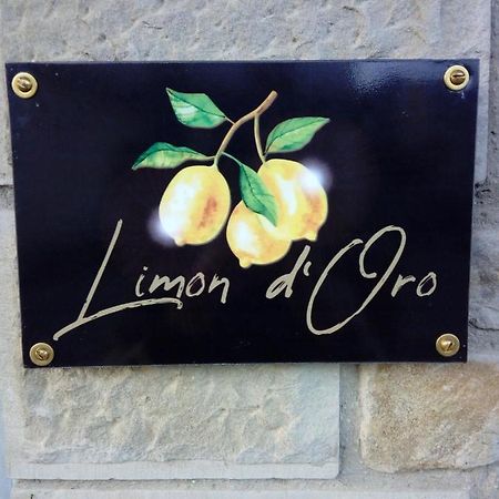 Limon D'Oro Villa Monte San Savino Kültér fotó